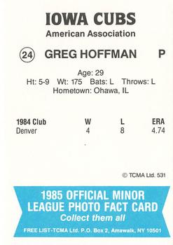 1985 TCMA Iowa Cubs #24 Guy Hoffman Back