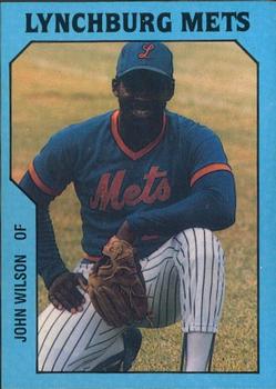 1985 TCMA Lynchburg Mets #24 Johnny Wilson Front