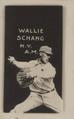 1921 W-UNC Self-Developing Strip Cards #NNO Wally Schang Front