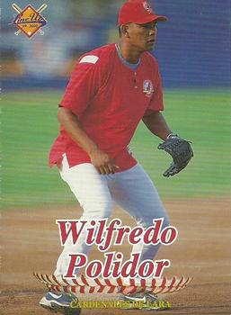1999-00 Line Up Venezuelan Winter League #24 Wilfredo Polidor Front