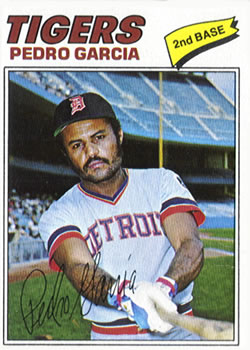 1977 Topps #453 Pedro Garcia Front