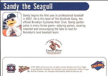 2001 Multi-Ad Brooklyn Cyclones #35 Sandy the Seagull Back