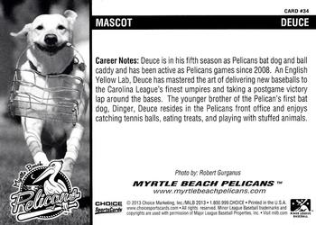 2013 Choice Myrtle Beach Pelicans #34 Deuce the Dog Back
