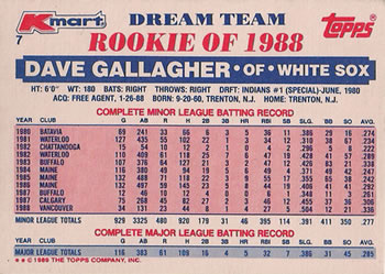 1989 Topps Kmart Dream Team #7 Dave Gallagher Back