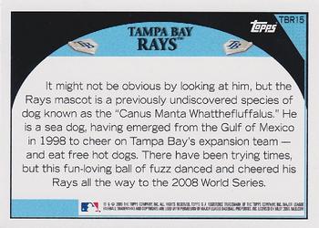 2009 Topps Tampa Bay Rays #TBR15 Raymond Back