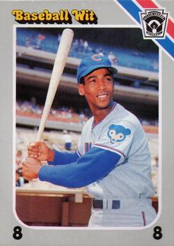 1990 Interpretive Marketing Baseball Wit #19 Ernie Banks Front