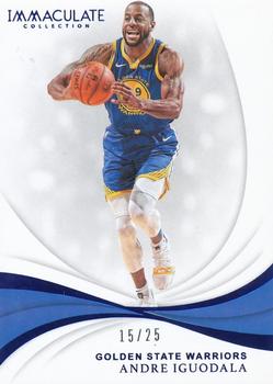 2018-19 Panini Immaculate Collection - Blue #100 Andre Iguodala Front