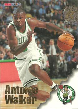 1996-97 Hoops #312 Antoine Walker Front