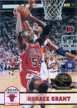 1993-94 Hoops - Fifth Anniversary Gold #27 Horace Grant Front