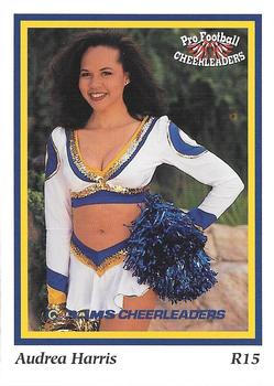 1994-95 Sideliners Pro Football Cheerleaders #R15 Audrea  Harris Front