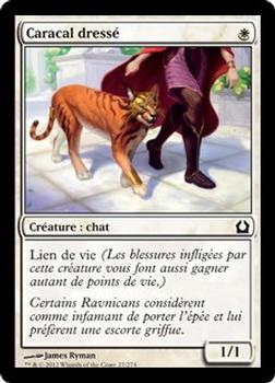 2012 Magic the Gathering Return to Ravnica French #27 Caracal dressé Front