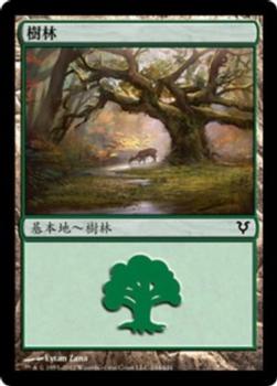 2012 Magic the Gathering Avacyn Restored Chinese Traditional #244 樹林 Front
