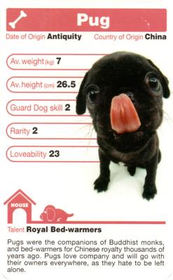 2005 Top Trumps The Dog Artlist Collection #NNO Pug Front