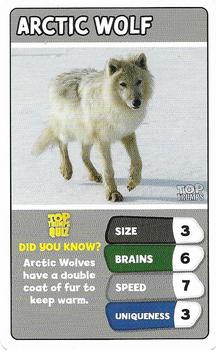 2022 Top Trumps Arctic Animals #NNO Arctic Wolf Front