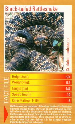 2003 Top Trumps Predators #NNO Black-tailed Rattlesnake Front