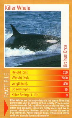 2003 Top Trumps Predators #NNO Killer Whale Front