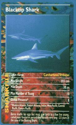 2003 Top Trumps Sharks #NNO Blacktip Shark Front