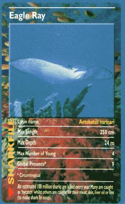 2003 Top Trumps Sharks #NNO Eagle Ray Front