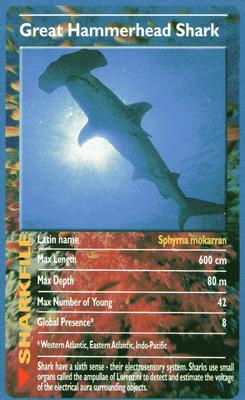 2003 Top Trumps Sharks #NNO Great Hammerhead Shark Front