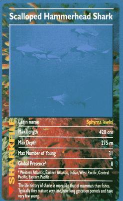 2003 Top Trumps Sharks #NNO Scalloped Hammerhead Shark Front