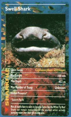 2003 Top Trumps Sharks #NNO Swell Shark Front