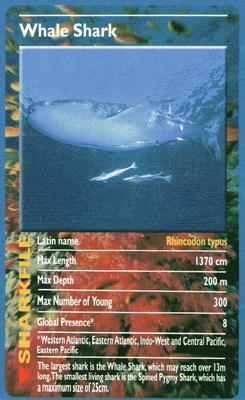 2003 Top Trumps Sharks #NNO Whale Shark Front