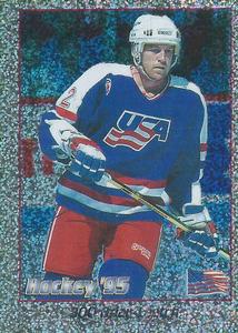 1995 Panini World Hockey Championship Stickers (Finnish/Swedish) #300 Brian Leetch Front