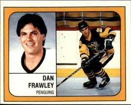 1988-89 Panini Hockey Stickers #338 Dan Frawley Front