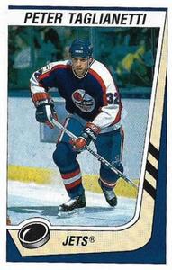 1989-90 Panini Hockey Stickers #174 Peter Taglianetti Front