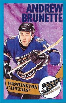 1996-97 Panini Stickers #141 Andrew Brunette  Front