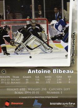 2013-14 Charlottetown Islanders (QMJHL) #2 Antoine Bibeau Back
