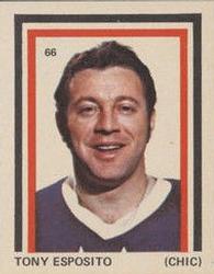 1972-73 Eddie Sargent NHL Players Stickers #66 Tony Esposito Front