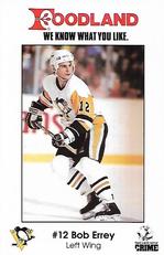 1989-90 Foodland Pittsburgh Penguins #8 Bob Errey Front