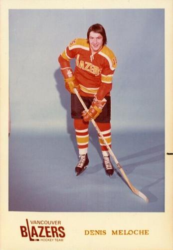 1973-74 Vancouver Blazers (WHA) #NNO Denis Meloche Front