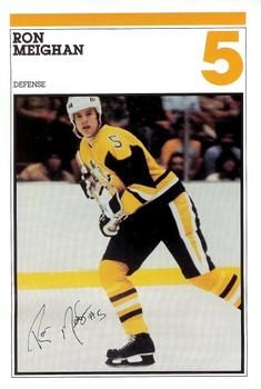1982-83 Heinz Pittsburgh Penguins Photo-Pak Night SGA 6x9 #19 Ron Meighan Front
