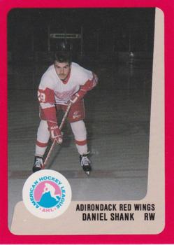 1988-89 ProCards Adirondack Red Wings (AHL) #NNO Daniel Shank Front