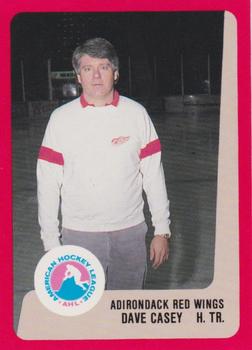 1988-89 ProCards Adirondack Red Wings (AHL) #NNO Dave Casey Front