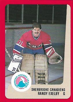 1988-89 ProCards Sherbrooke Canadiens (AHL) #NNO Randy Exelby Front