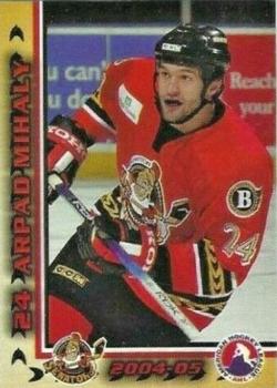 2004-05 Binghamton Senators (AHL) #NNO Arpad Mihaly Front