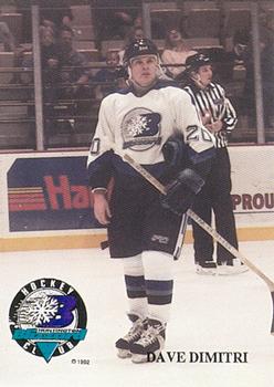 1993-94 Huntington Blizzard (ECHL) #NNO Dave Dimitri Front