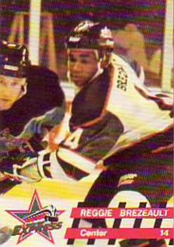 1993-94 Roanoke Express (ECHL) #NNO Reggie Brezeault Front
