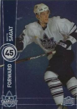 2006-07 Toronto Marlies (AHL) #24 Martin Sagat Front