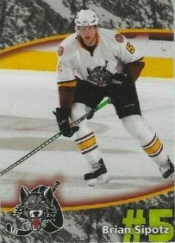 2007-08 Vienna Beef Chicago Wolves (AHL) #NNO Brian Sipotz Front