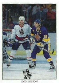 1993-94 Milwaukee Admirals (IHL) #19 Don Gibson Front