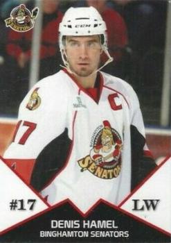 2008-09 Just Sports Photography Binghamton Senators (AHL) #NNO Denis Hamel Front
