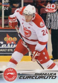 2011-12 Choice Sault Ste. Marie Greyhounds (OHL) #21 Gianluca Curcuruto Front