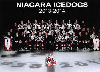 2013-14 Extreme Niagara IceDogs (OHL) #NNO Niagara IceDogs Front