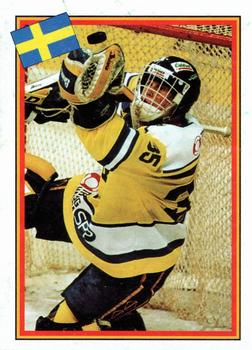 1993 Semic Hockey VM/Jaakiekon MM (Swedish/Finnish) Stickers #1 Peter Åslin Front