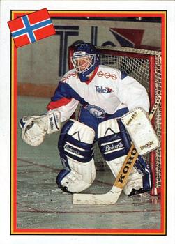 1993 Semic Hockey VM/Jaakiekon MM (Swedish/Finnish) Stickers #230 Rob Schistad Front