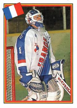 1993 Semic Hockey VM/Jaakiekon MM (Swedish/Finnish) Stickers #250 Michel Valliere Front